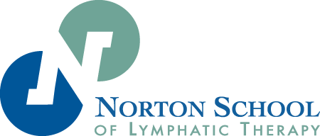 Norton School Turkey
